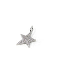 Jazzy Star Charm