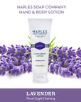 Lavender Hand & Body Lotion Tube 3.4 oz