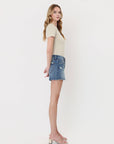 Aster Studded Shorts