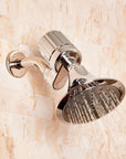 The Shower Filter - Chrome