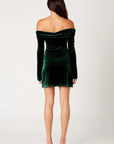 Ava Velvet Dress