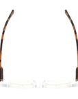 FIONA | Clear | Tortoise Temples | Blue Light