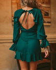 Delaney L/S Tie Mini Dress