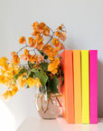 Less Fucking Attitude Journal