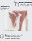 Shea Butter Exfoliating Body Wash - sanitystyle