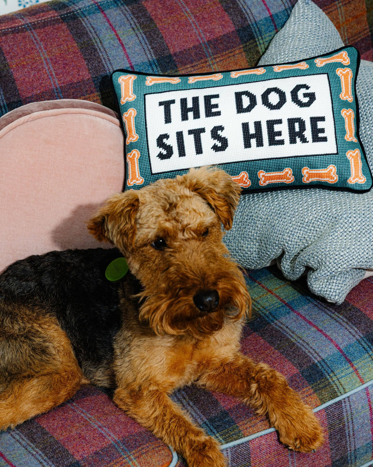 Dog Sits Here Pillow