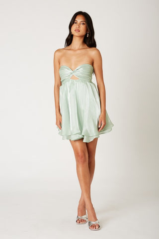 Eleanor Strapless Dress