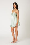 Eleanor Strapless Dress