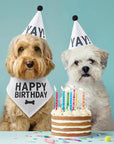 Pet Birthday Book Box