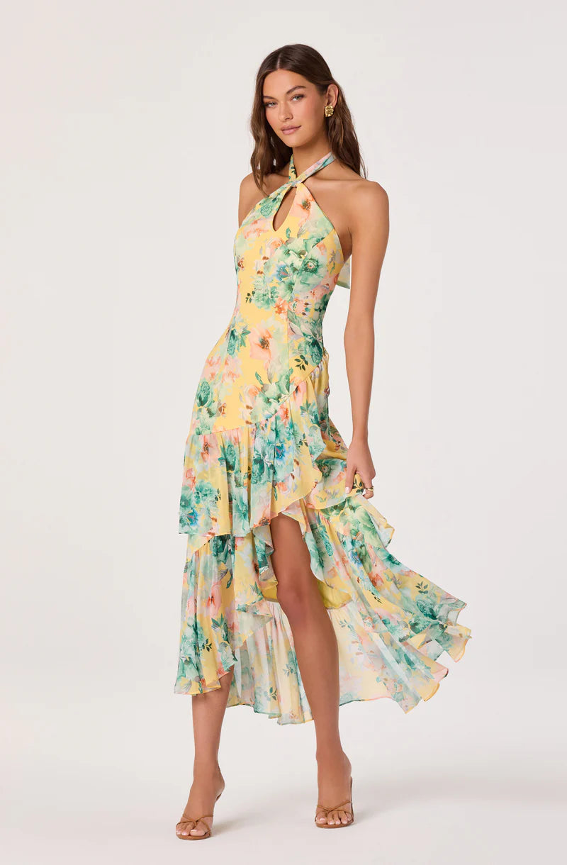 Bethina Dress