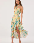 Bethina Dress