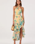 Bethina Dress