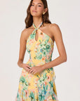 Bethina Dress