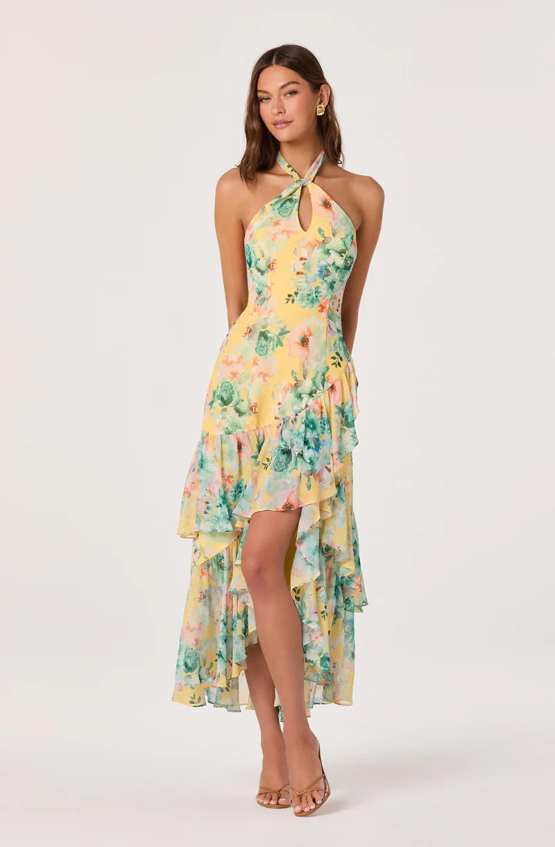 Bethina Dress