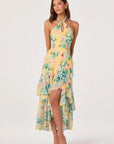 Bethina Dress