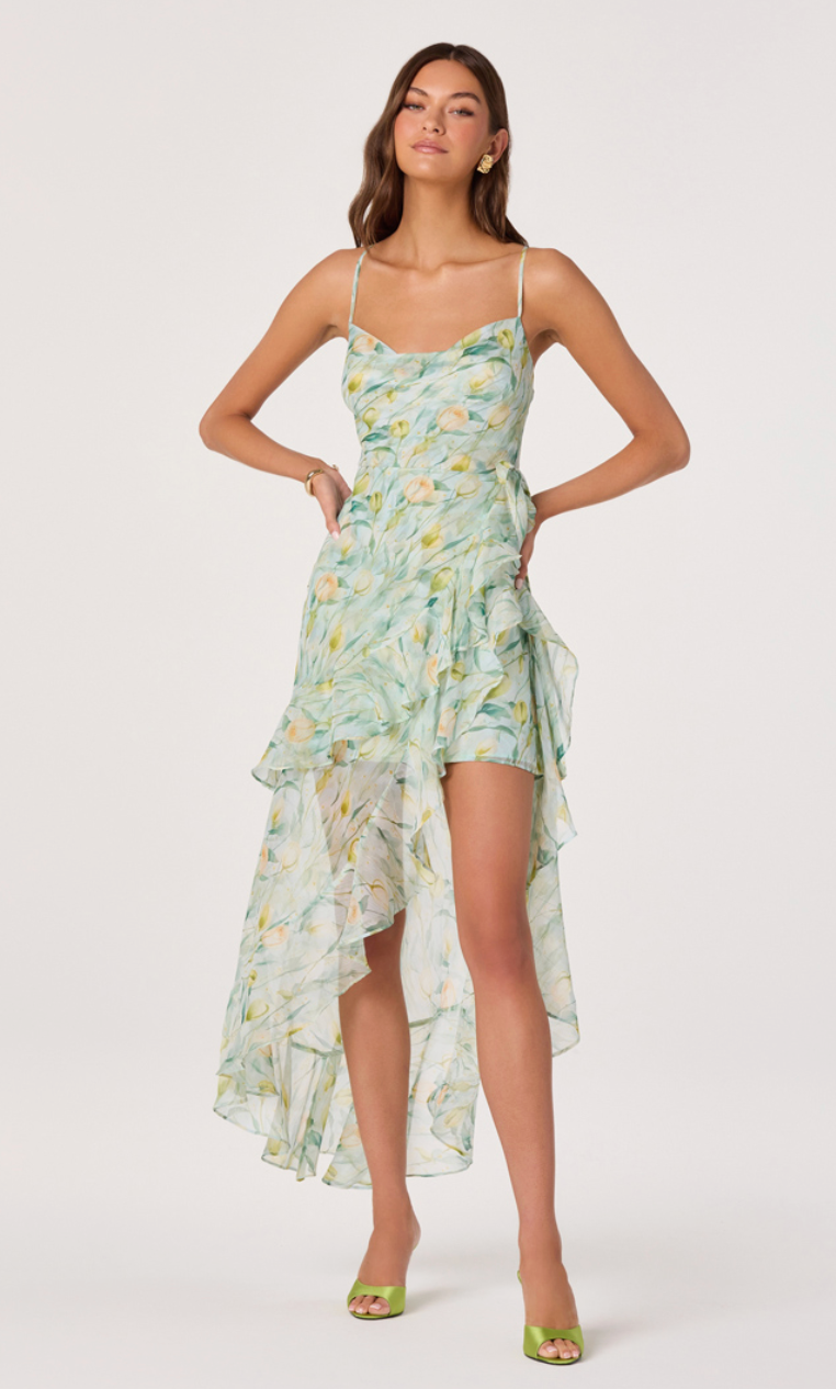 Candace Asymmetrical Ruffle Dress
