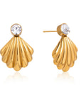 Shell Drop Earrings