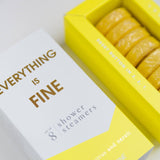 Everything is Fine Shower Steamers - Sea Salt, Citrus & Neroli - Set of 8 Tabs