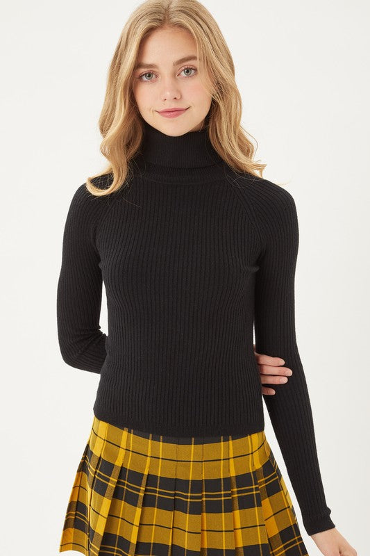 Arra Turtleneck Sweater Top